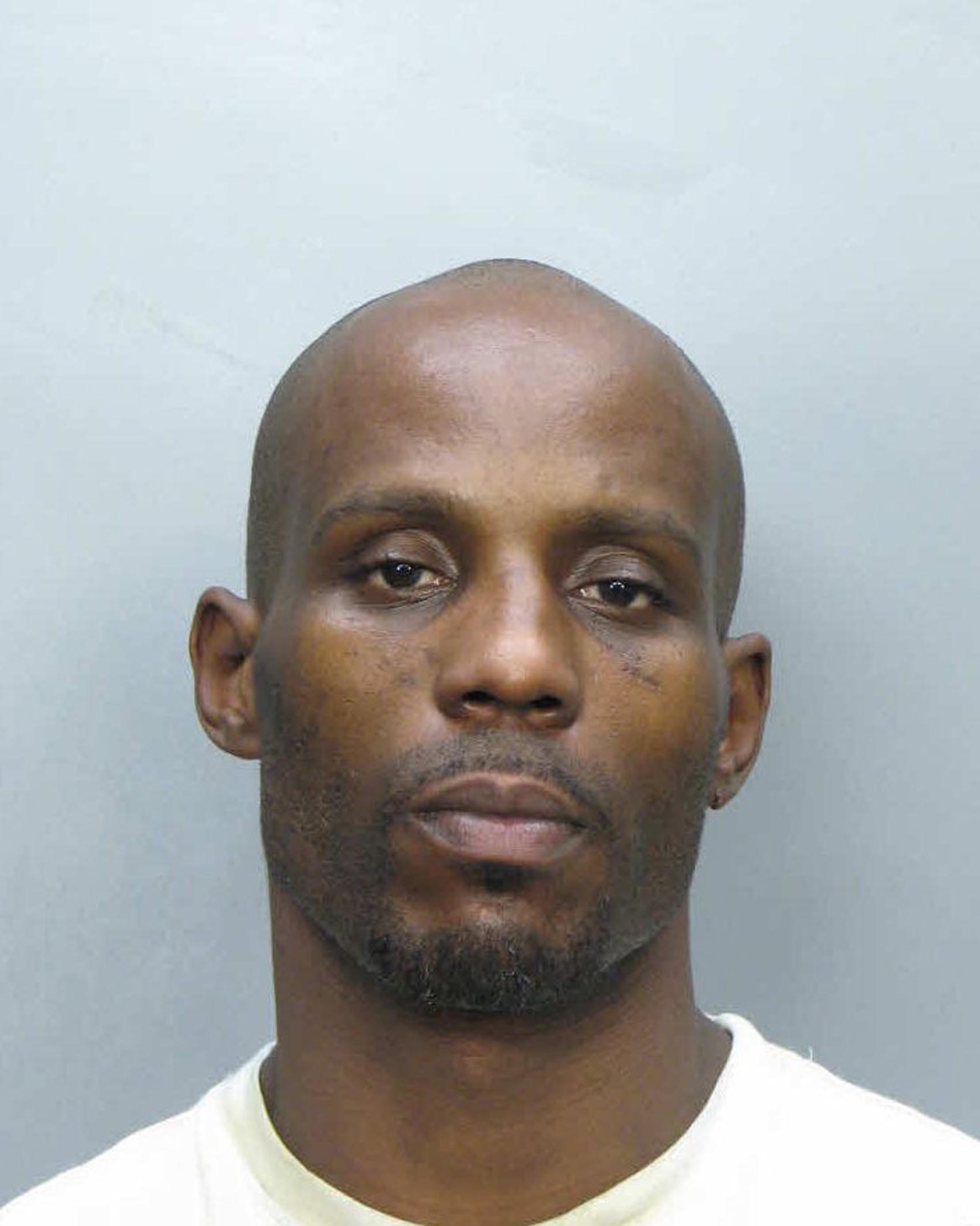 Rapper DMX (<b>Earl Simmons</b>) has received a sentence of 90 days in jail for ... - spl66623_001